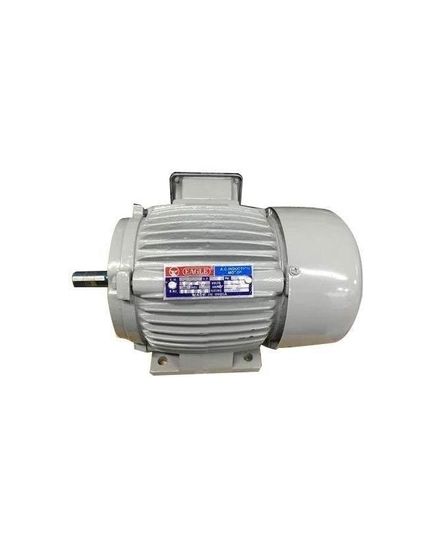 Eagle 3 Phase 2 hp 2 Pole Foot Mounted Induction Motor, image 